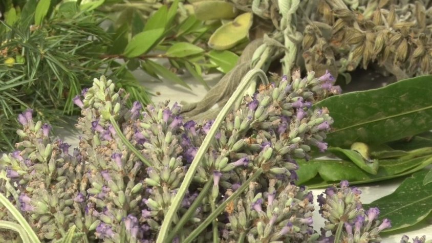 Aquest dissabte torna la festa de les herbes i la ratafia amb una nova edició de l’Herbesalú