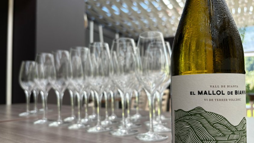 Nou llançament de 2.000 ampolles del vi del Mallol de Bianya