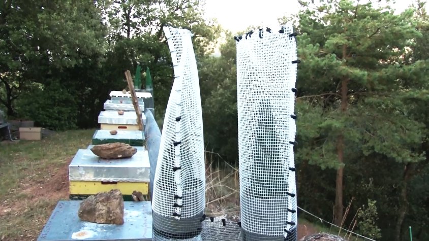 Les trampes Koldo: les més efectives per combatre la vespa asiàtica