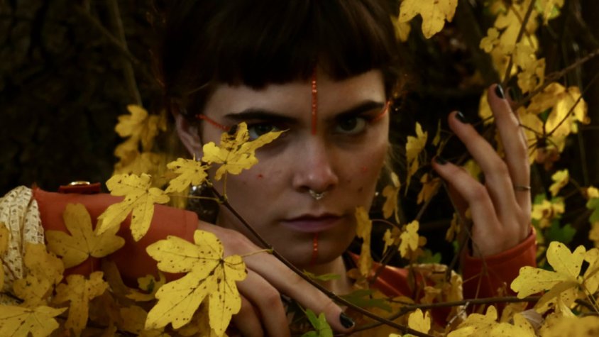 Cinta serà la protagonista de la proposta del Musica al Parc d’aquest cap de setmana