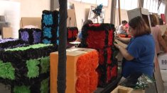 La Batalla de les Flors comptarà amb una de les participacions més altes dels últims anys