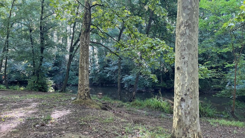 El Foment de Pesca Esportiva recupera el concurs sènior aquest diumenge