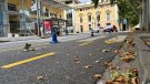 El PSC Olot critica la instal·lació del carril bici provisional del passeig de Barcelona
