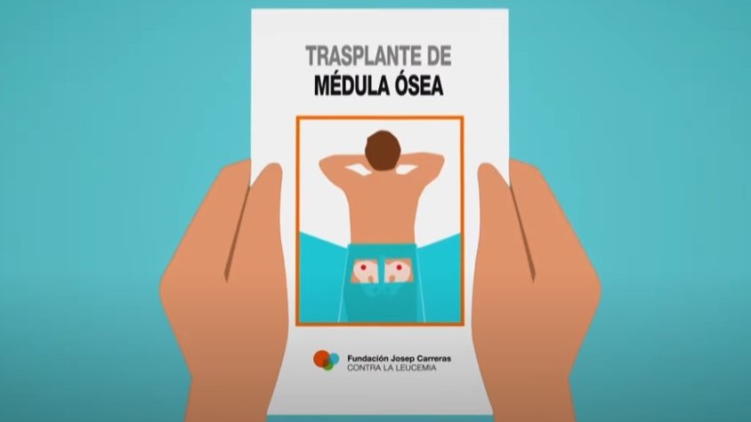 Catalunya lidera el rànquing a l’estat on es fan més donacions de medul·la òssia