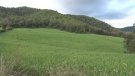 Projecten la construcció d’una planta de biogàs entre la Garrotxa i el Pla de l’Estany