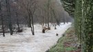 Es compleixen 5 anys del temporal Glòria