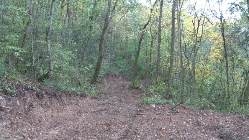 Olot Meats acaba d’iniciar la segona fase d’intervenció a diversos boscos de la Vall de Bianya