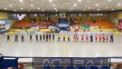 Empat amarg entre Hoquei Olot i Girona CH (3-3)
