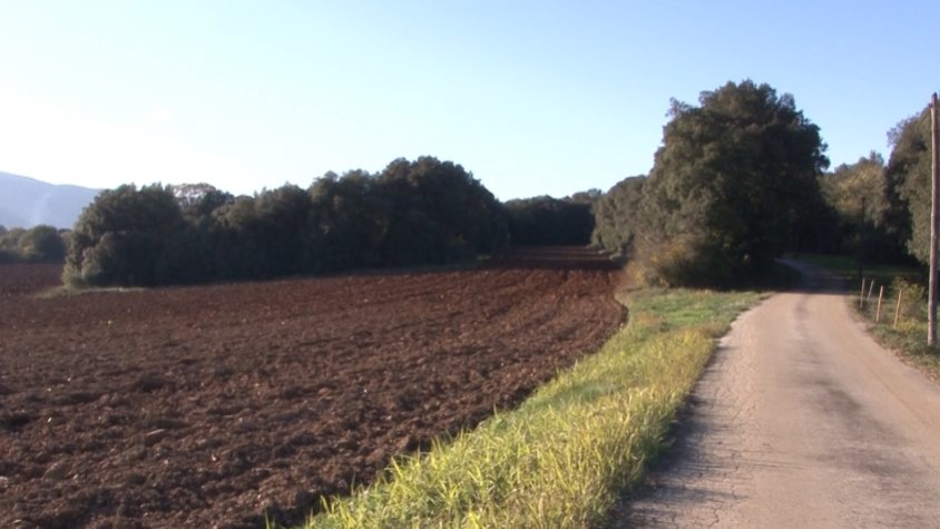 L’Ajuntament d’Argelaguer no veu malament la construcció d’un parc fotovoltaic al poble, però els sap greu que no els hagin ofert res a canvi