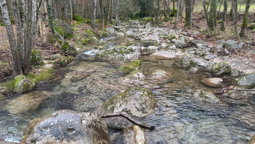 Preservar el Fluvià és el principal objectiu de Simbiosi Fluvial, un projecte constituït com a òrgan de governança