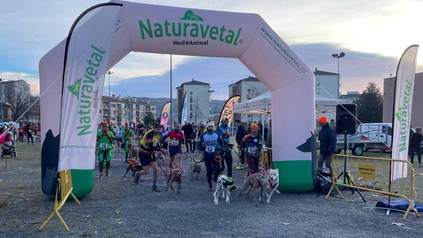 El cinquè Canicròs d’Olot reuneix una norantena de corredors