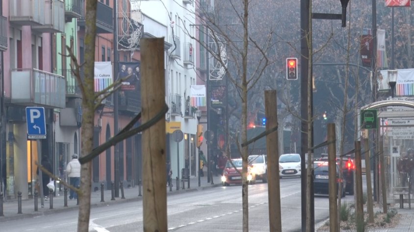 L’arbrat del carrer Mulleras genera controvèrsia entre PSC i l’equip de govern a l’Ajuntament d’Olot