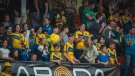 Els clubs esportius d'Olot tindran més espai per entrenar quan la gimnàstica artística es desplaci del recinte firal