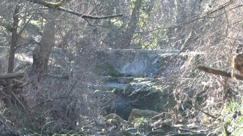 L'ACA retirarà dues rescloses en desús del riu Fluvià