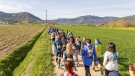 Olot serà el punt de sortida de les tres distàncies llargues de la Trailwalker