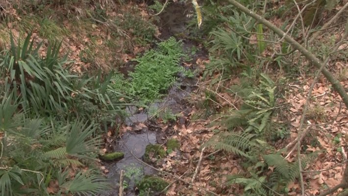 L’alcalde de Sant Aniol de Finestres demana més implicació de la Generalitat per fer neteges a les lleres de rius i torrents