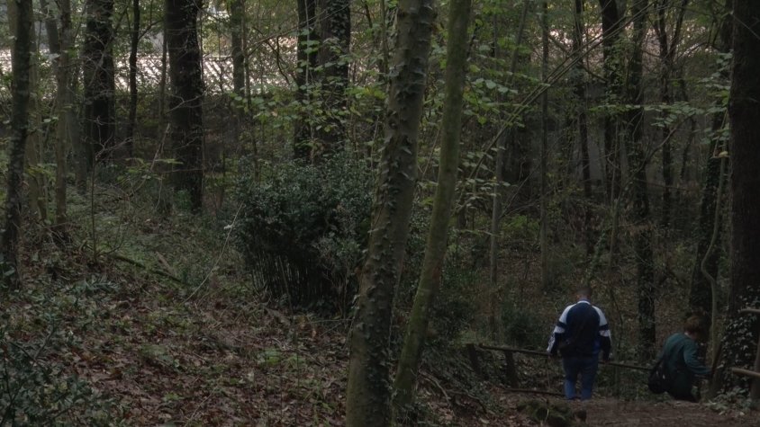 Places obertes pels interessats en un curs d’extensió universitària de la UNED sobre ecologia forestal