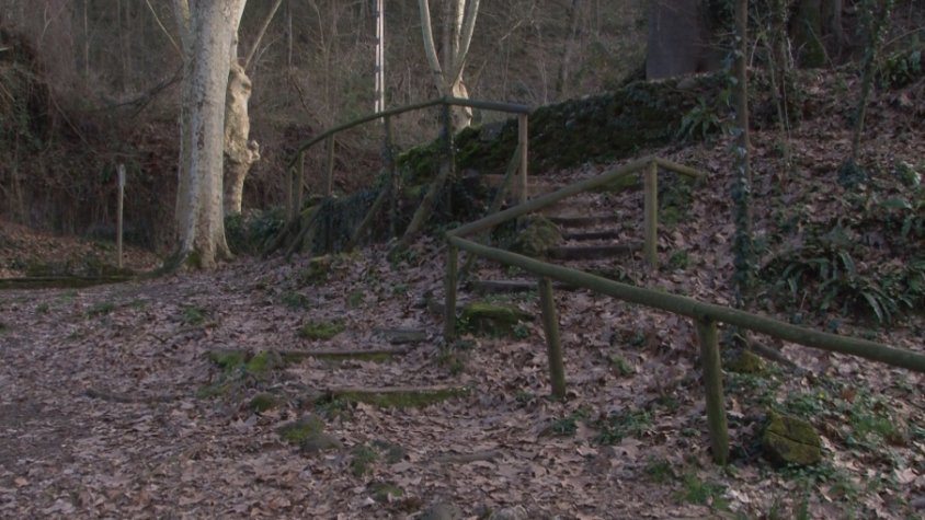 L'Agrupació Naturalista de la Garrotxa farà millores als paratges de les Tries