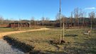 Els alcaldes garrotxins celebren la millora de les instal·lacions del Centre d’Acollida d’Animals