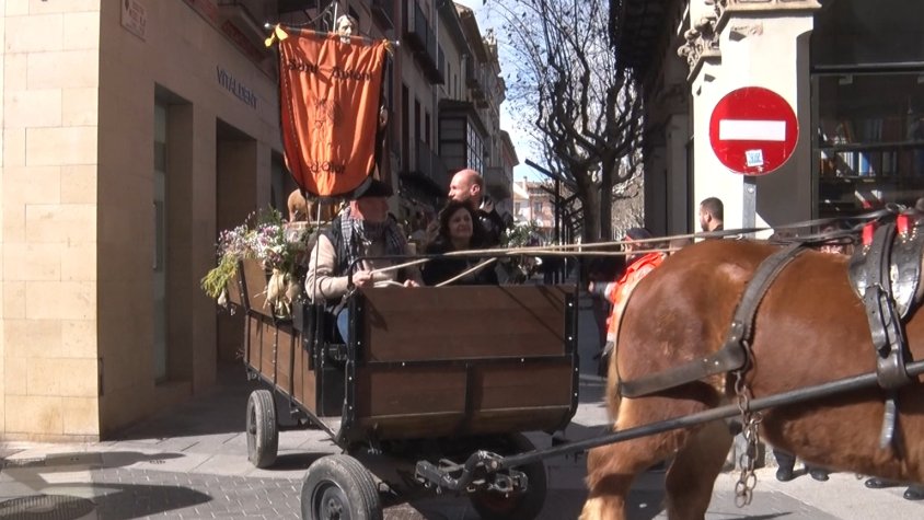 Uns 200 cavalls  i diversos  animals de companyia participaran en la benedicció dels  Tres Tombs prevista a Olot per aquest cap de setmana