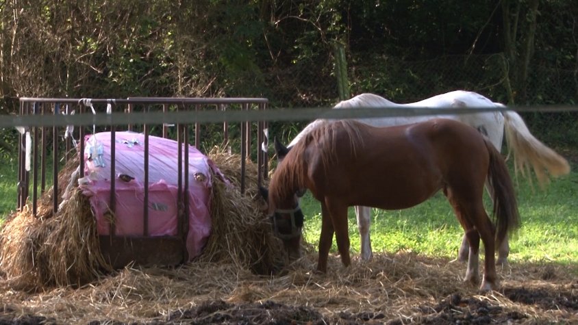 La Marginera engega un projecte educatiu en mig de la natura