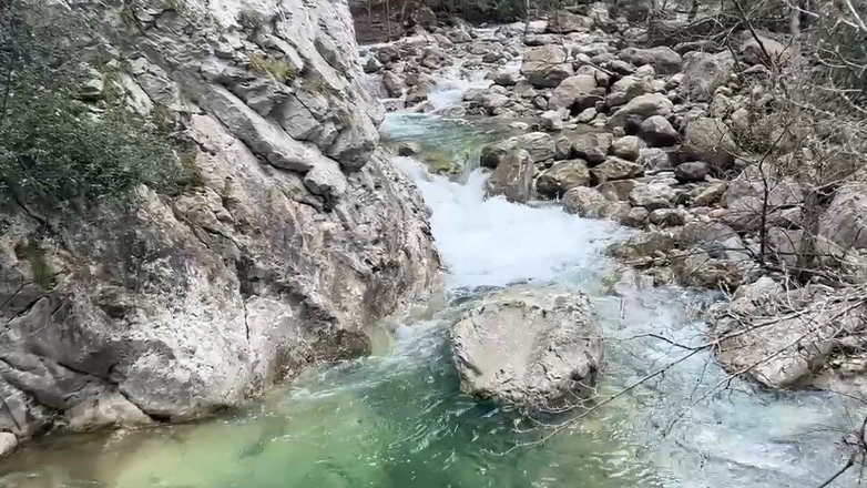 La Riera de Sant Aniol d'Aguja aquest dissabte