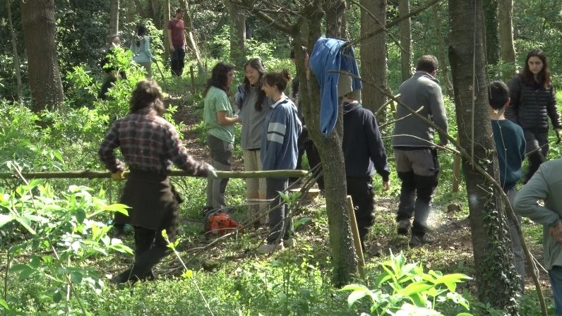 El projecte de la roureda del Mas Tarut finalitza la fase de gestió forestal