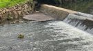 Unió de Pagesos demana que no se’ls assenyali quan es parla de contaminació al riu