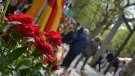Milers de persones gaudeixen d'un Sant Jordi al Firal d'Olot amb molt d'ambient i bon temps