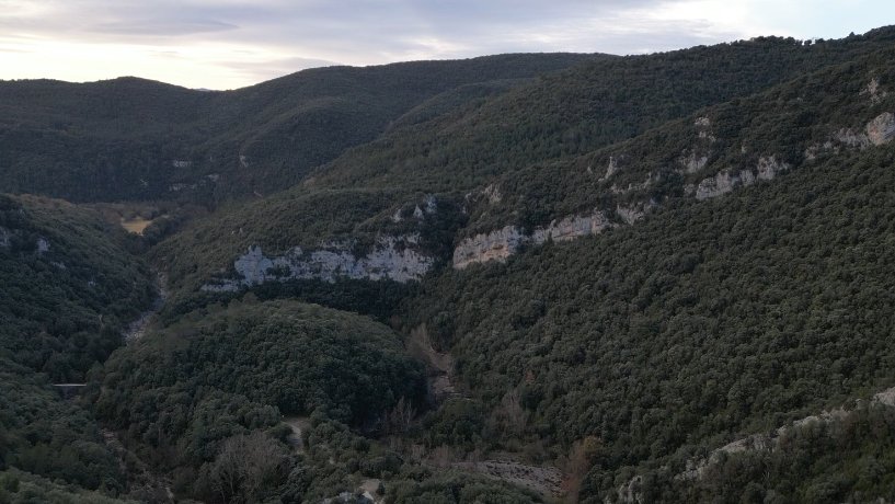 Oberta una línia d’ajudes per a la gestió forestal sostenible