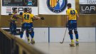 L’Hoquei Olot remunta un 1-3 i arribarà a l'última jornada amb opcions de jugar el play-off d’ascens