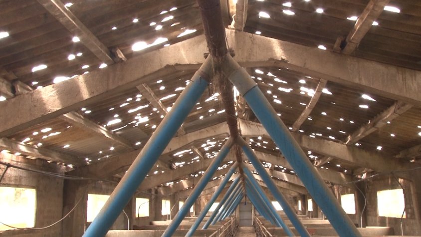 La pedregada segueix sumant problemes als pagesos de Santa Pau