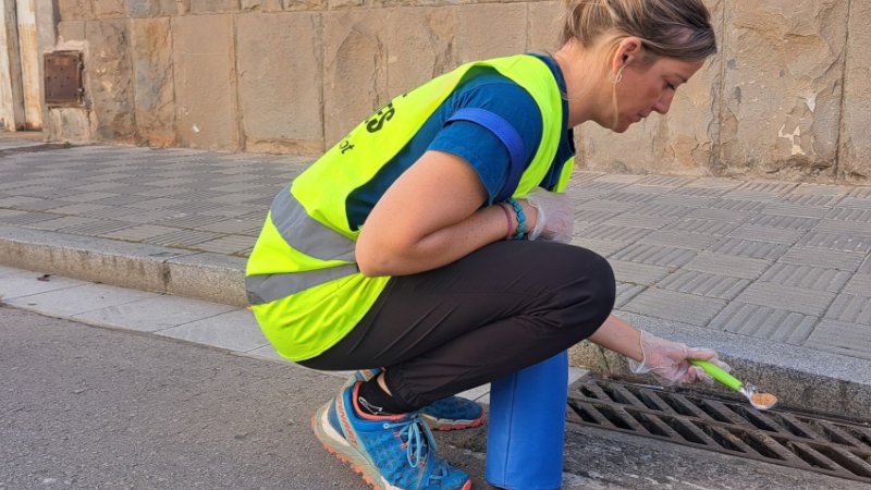 L’Ajuntament d’Olot ja pren mesures contra el mosquit tigre