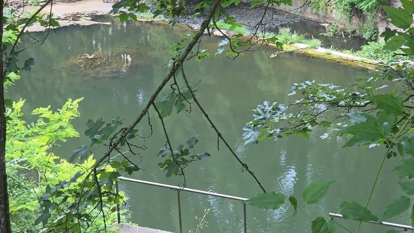 El Club Natació Olot suspèn la Travessia Tossols-Bassil pel mal estat de l’aigua