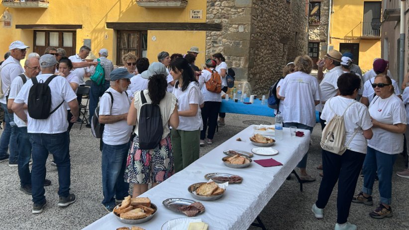 El Consell Consultiu de la Gent Gran de la Garrotxa demana una millora de l’aplicació de la llei de la dependència