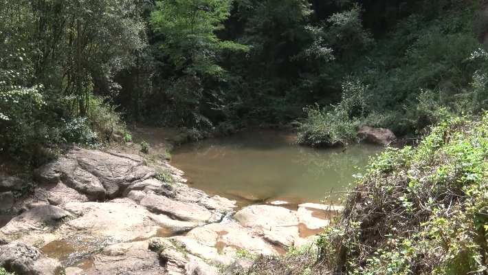 L’Ajuntament de Riudaura planteja la possibilitat de posar una barrera o un lector de matrícules a la zona dels gorgs