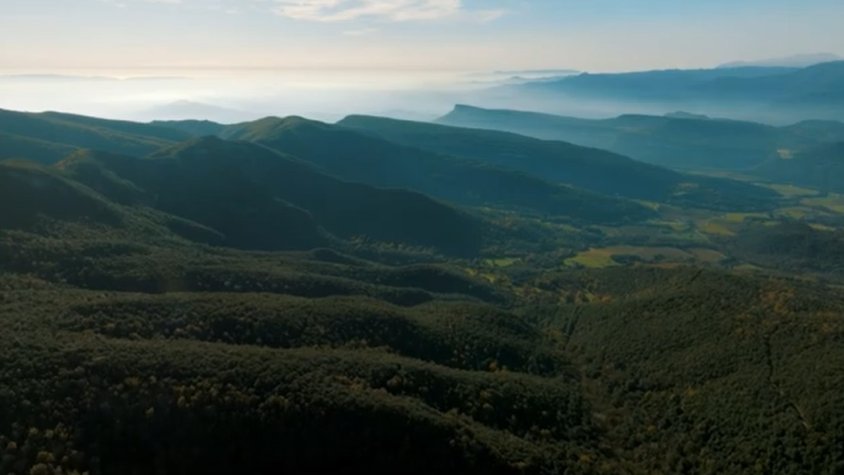 L’associació Sèlvans lidera el projecte de conservació forestal a les muntanyes de Rocacorba