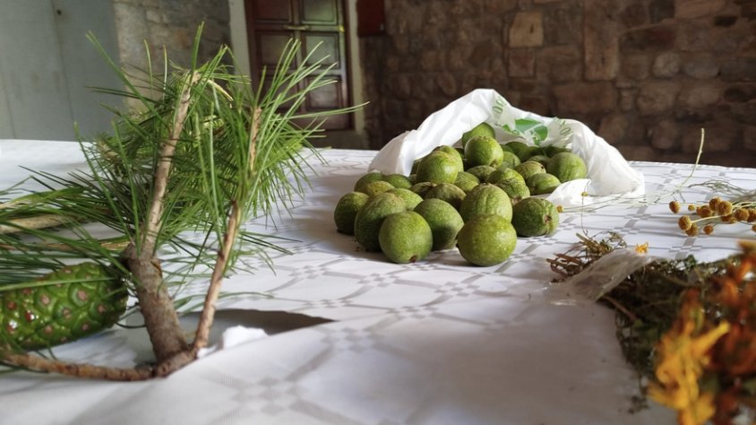 Satisfacció amb la participació de l’Herbesalú