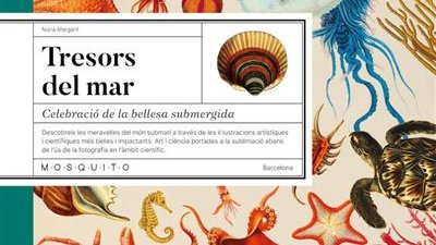 Amb l’arribada de l’estiu, arriba el moment de llegir un llibre