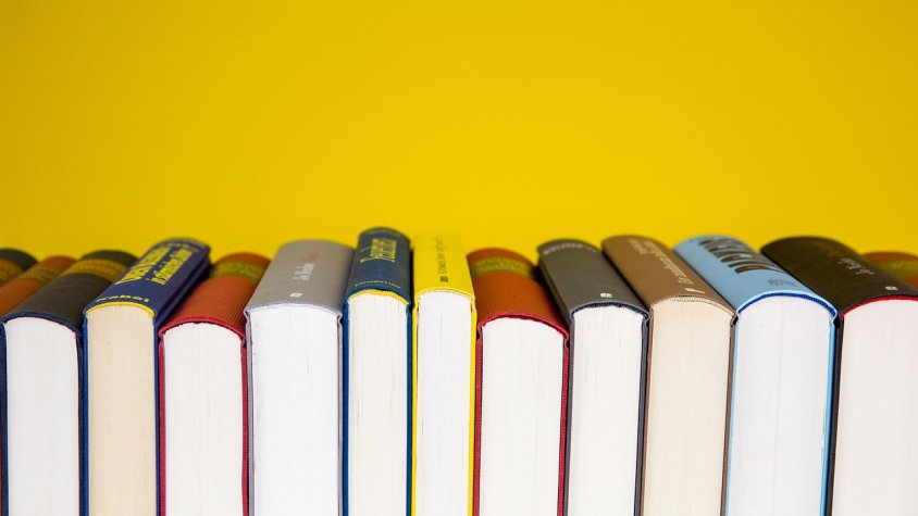 Argelaguer instal·la un biblioniu al parc infantil per fomentar la lectura