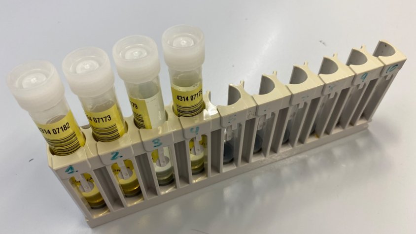 1 de 7 cada infants avaluats durant la campanya de la Setmana Sense Fum estan exposats al tabac