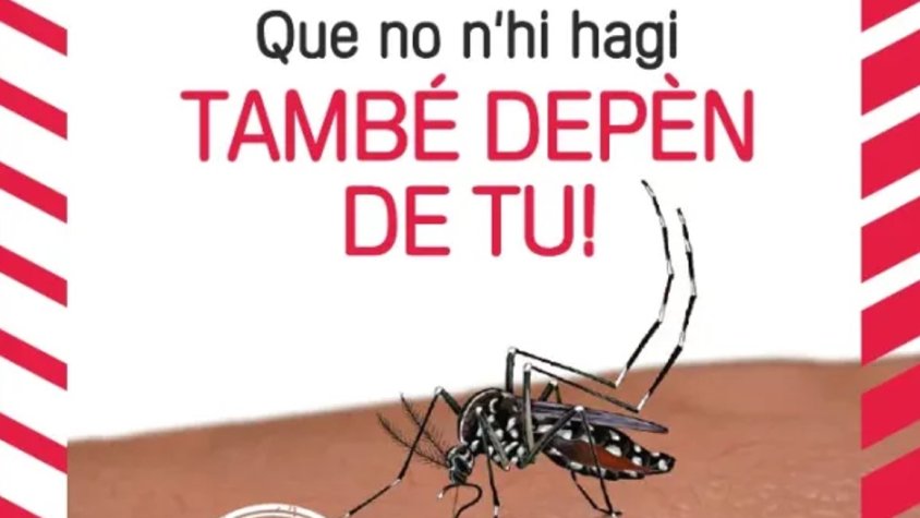 Les Preses intensifica el control del mosquit tigre durant l’estiu