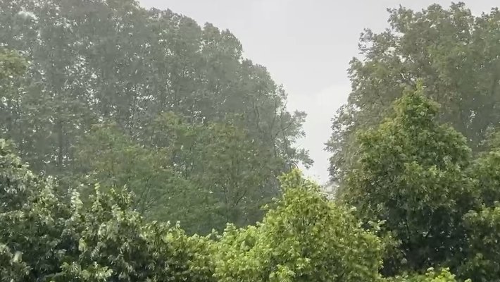 Consells per actuar de manera correcta en cas de tempestes fortes