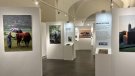 La Sala Oberta 2 del Museu de la Garrotxa acull una exposició d’homenatge a la feina de Pep Sau