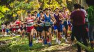 Olot acollirà el Campionat de Catalunya individual de cros el 21 de desembre
