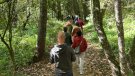 La Garrotxa és una comarca propícia per als itineraris forestals terapèutics