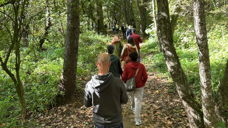La Garrotxa és una comarca propícia per als itineraris forestals terapèutics