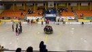 L’Hoquei Olot cau davant del CP Vilafranca en un partit on mereix més (2-3)