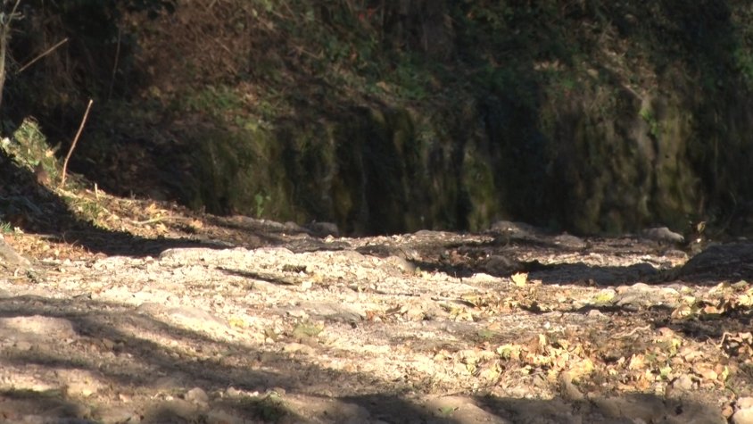 PSC juntament amb l’equip de govern arreglen el camí del Bac de la Pradella
