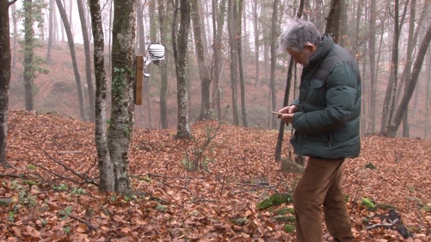 2025 torna a posar la Garrotxa com una de les àrees més plujoses de Catalunya